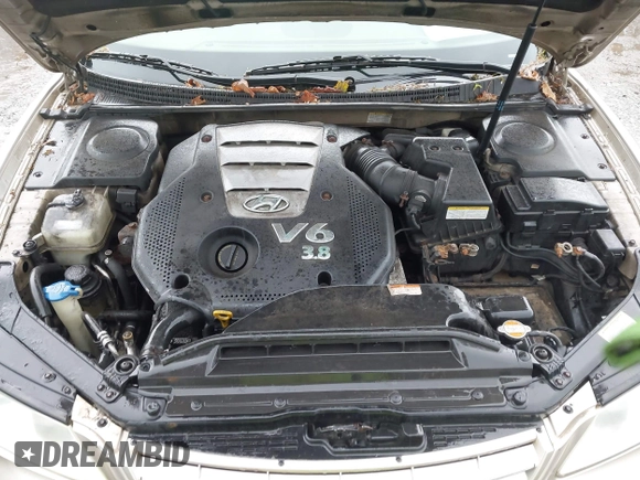 2006 Hyundai Azera SE с VIN KMHFC46F76A134958, выставлен на аукционе IAAI как лот 42314943 с пробегом 206 745 миль миль и . История ставок и продаж доступна на DreamBid. Изображение 10.