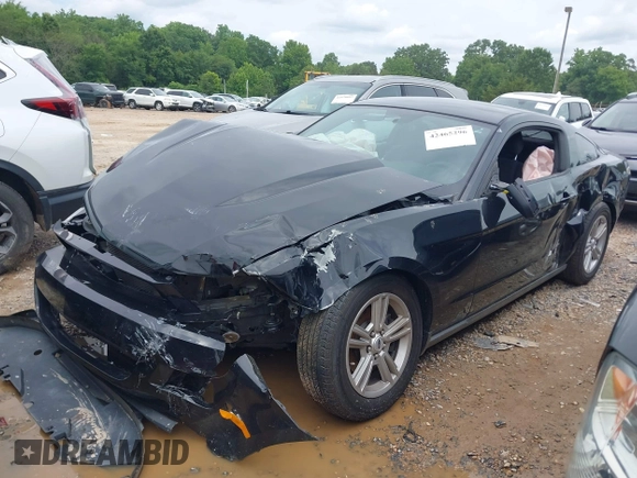 2012 Ford Mustang Premium with VIN 1ZVBP8AM4C5285696, listed as a IAAI auction lot 42465296 with 143,387 mi miles and . Bid and sale history available at DreamBid. Image 2.
