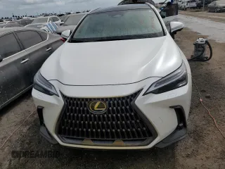 2022 Lexus NX with VIN JTJHKCEZ1N5002627, listed as a Copart auction lot 74983514 with 19,228 mi miles and Non Repairable. Bid and sale history available at carsss.com. Image 5.