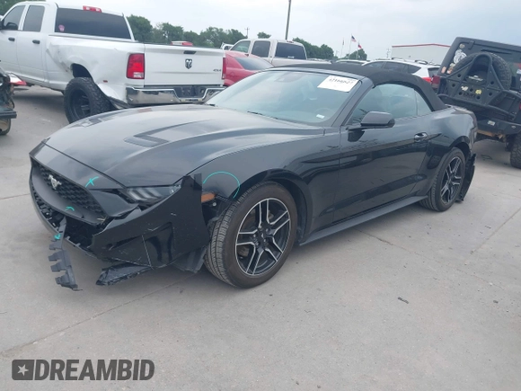 2023 Ford Mustang EcoBoost with VIN 1FATP8UH9P5103685, listed as a IAAI auction lot 42166827 with 49,204 mi miles. Bid and sale history available at carsss.com. Image 21.