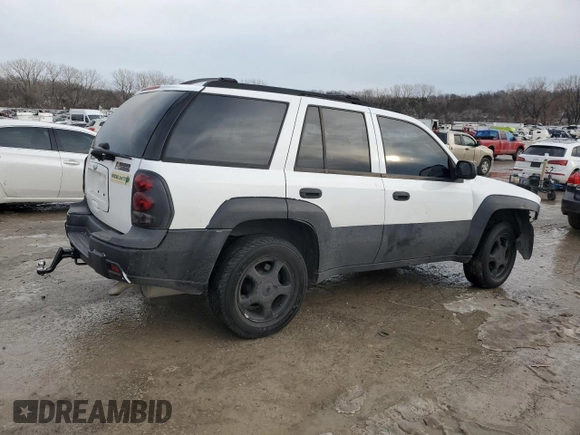 2007 Chevrolet TrailBlazer LS with VIN 1GNDS13S572165188, listed as a Copart auction lot 89381025 with Not Provided miles and Salvage Title. Bid and sale history available at DreamBid. Image 3.