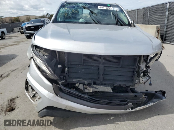2019 Chevrolet Colorado 2WD Z71 with VIN 1GCGSDEN4K1126511, listed as a Copart auction lot 46676385 with 87,104 mi miles and Clean Title. Bid and sale history available at carsss.com. Image 5.