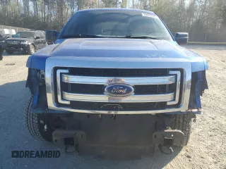 2013 Ford F-150 XL with VIN 1FTFW1EF3DFA87410, listed as a Copart auction lot 53025645 with 219,758 mi miles and Salvage Title. Bid and sale history available at DreamBid. Image 5.