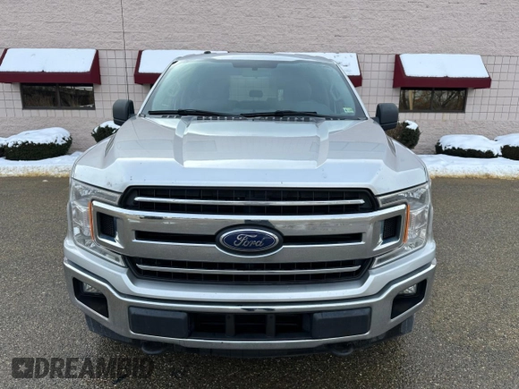 2018 Ford F-150 XL with VIN 1FTEW1EG5JFD16525, listed as a Copart auction lot 44023715 with 202,325 mi miles and Clean Title. Bid and sale history available at carsss.com. Image 12.