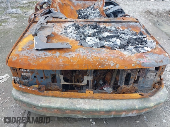 1995 Ford F-150 с VIN 1FTEX15N9SKB99892, выставлен на аукционе IAAI как лот 42370630 с пробегом Не указан миль и . История ставок и продаж доступна на DreamBid. Изображение 10.