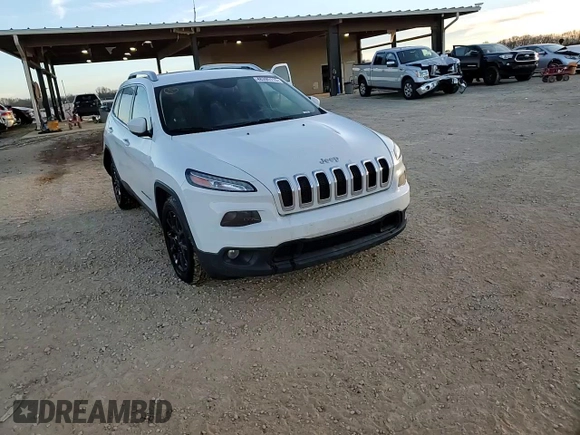 2016 Jeep Cherokee Altitude with VIN 1C4PJLCS4GW238385, listed as a Copart auction lot 48205115 with 118,908 mi miles and Salvage Title. Bid and sale history available at carsss.com. Image 14.
