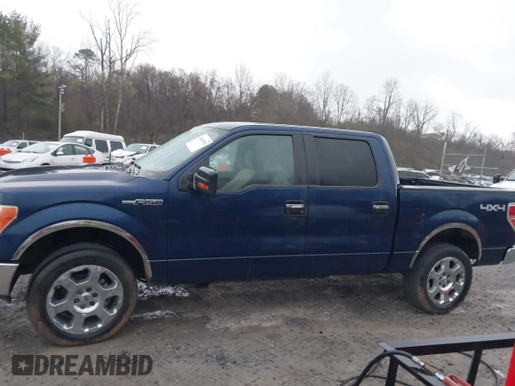 2010 Ford F-150 XL z VIN 1FTFW1EV2AFB75125, wystawiony jako IAAI lot #41835923 z przebiegiem 219 460 mil mil oraz . Historia ofert i sprzedaży dostępna na DreamBid. Obrazek 14.