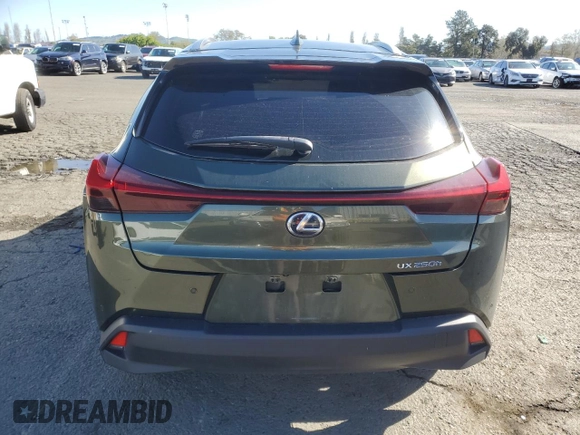 2021 Lexus UX 250h with VIN JTHX9JBH3M2044970, listed as a Copart auction lot 51663195 with 75,931 mi miles and Salvage title. Bid and sale history available at DreamBid. Image 6.