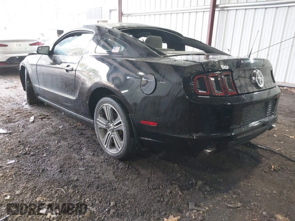 2014 Ford Mustang V6 with VIN 1ZVBP8AM5E5284026, listed as a IAAI auction lot 41861609 with 123,352 mi miles. Bid and sale history available at carsss.com. Image 3.