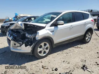 2014 Ford Escape SE with VIN 1FMCU9GX6EUC75005, listed as a Copart auction lot 52553365 with 207,339 mi miles and Clean Title. Bid and sale history available at carsss.com. Image 1.