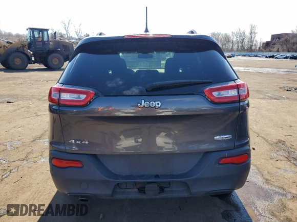 2014 Jeep Cherokee Altitude with VIN 1C4PJMCB6EW290636, listed as a Copart auction lot 46148335 with 160,118 mi miles and Salvage Title. Bid and sale history available at carsss.com. Image 6.