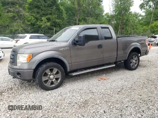 2009 Ford F-150 XL with VIN 1FTPX14V29FA00582, listed as a Copart auction lot 59819485 with 218,535 mi miles and Clean title. Bid and sale history available at DreamBid. Image 1.