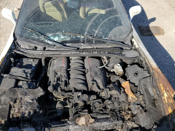 2004 Chevrolet Corvette with VIN 1G1YY32G145107647, listed as a Copart auction lot 76517714 with 3,303 mi miles and Salvage Title. Bid and sale history available at carsss.com. Image 13.