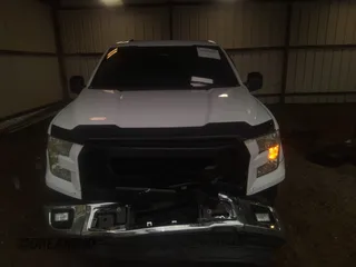 2016 Ford F-150 XL with VIN 1FTEX1CP2GKF17539, listed as a IAAI auction lot 41564689 with 251,000 mi miles and . Bid and sale history available at carsss.com. Image 12.