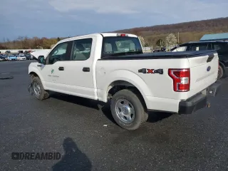2019 Ford F-150 XL with VIN 1FTEW1EP1KFA67786, listed as a Copart auction lot 53103915 with 126,108 mi miles and Salvage Title. Bid and sale history available at carsss.com. Image 2.