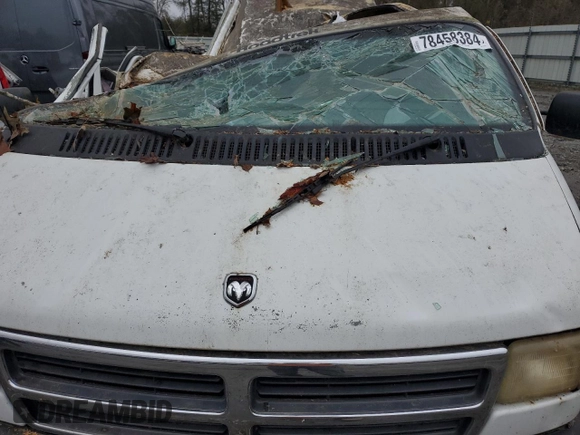 1994 Dodge Cargo with VIN 2B6JB31Y1RK172171, listed as a Copart auction lot 78458384 with 110,115 mi miles and Salvage Title. Bid and sale history available at carsss.com. Image 12.