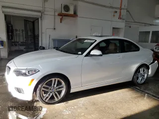 2016 BMW 2 Series 228i xDrive with VIN WBA1G9C59GV726574, listed as a Copart auction lot 44238955 with 95,829 mi miles and Salvage Title. Bid and sale history available at carsss.com. Image 1.