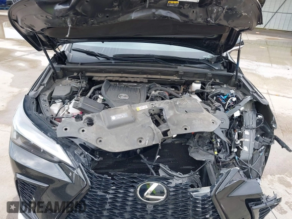 2022 Lexus NX 350 F Sport with VIN JTJKGCEZ1N2006346, listed as a IAAI auction lot 42426609 with 29,976 mi miles and . Bid and sale history available at DreamBid. Image 10.