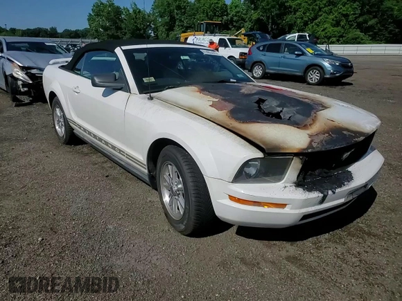 2005 Ford Mustang Deluxe with VIN 1ZVFT84N755194037, listed as a Copart auction lot 61485405 with Not provided miles and Salvage title. Bid and sale history available at DreamBid. Image 13.