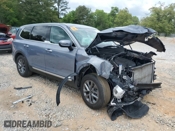 2024 Kia Telluride LX with VIN 5XYP24GC5RG483301, listed as a Copart auction lot 54327845 with Not provided miles and Salvage title. Bid and sale history available at DreamBid. Image 4.