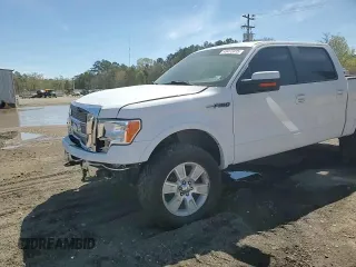 2009 Ford F-150 XL с VIN 1FTPW14V99KC94153, выставлен на аукционе Copart как лот 49473415 с пробегом 202 809 миль миль и Списание • Salvage title. История ставок и продаж доступна на DreamBid. Изображение 10.