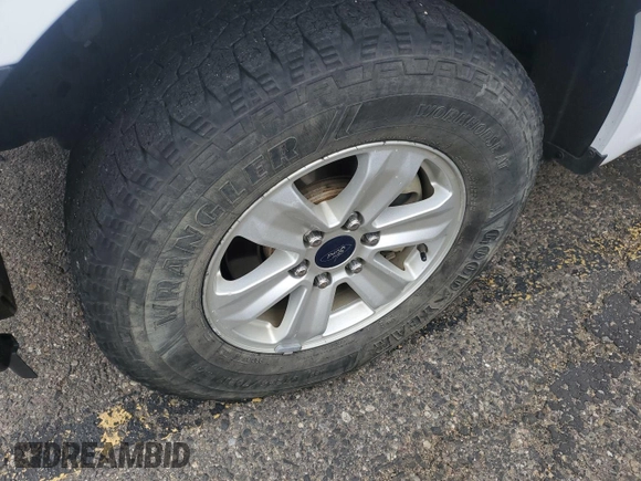 2017 Ford F-150 XL with VIN 1FTEX1EP7HKE51066, listed as a IAAI auction lot 42246586 with 181,556 mi miles and . Bid and sale history available at carsss.com. Image 1.