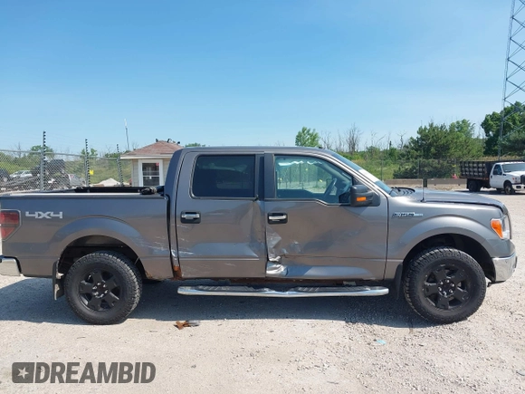 2010 Ford F-150 XL with VIN 1FTEW1E83AFD18282, listed as a IAAI auction lot 42653428 with 207,118 mi miles and . Bid and sale history available at DreamBid. Image 13.