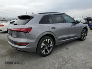 2022 Audi e-tron Premium with VIN WA1AABGE1NB022142, listed as a Copart auction lot 55533575 with 46,599 mi miles and Salvage Title. Bid and sale history available at DreamBid. Image 3.