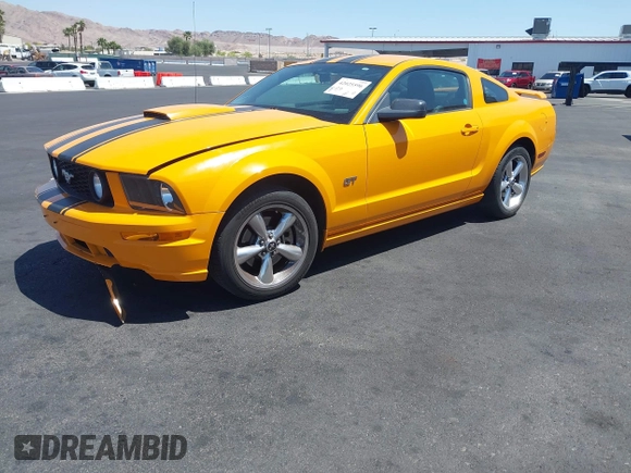 2008 Ford Mustang GT Deluxe with VIN 1ZVHT82H985189609, listed as a IAAI auction lot 42025596 with Not Provided miles and . Bid and sale history available at carsss.com. Image 16.
