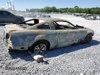 2005 Ford Mustang Deluxe with VIN 1ZVFT80N455159946, listed as a Copart auction lot 54315545 with Not provided miles and Non repairable. Bid and sale history available at DreamBid. Image 3.