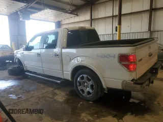 2010 Ford F-150 XL with VIN 1FTFW1EV2AFA49556, listed as a Copart auction lot 62286275 with 154,176 mi miles and Salvage title. Bid and sale history available at DreamBid. Image 2.