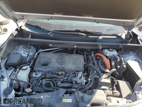2019 Toyota RAV4 Hybrid XLE with VIN 2T3RWRFV1KW041684, listed as a Copart auction lot 48708995 with 80,181 mi miles and Salvage Title. Bid and sale history available at carsss.com. Image 12.