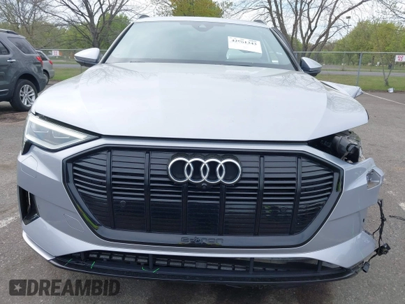 2022 Audi e-tron Premium with VIN WA1AAAGE3NB033122, listed as a IAAI auction lot 42081343 with 36,171 mi miles and . Bid and sale history available at DreamBid. Image 12.