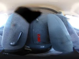 2020 Nissan NV200 SV с VIN 3N6CM0KN6LK707107, выставлен на аукционе Copart как лот 54387655 с пробегом 115 772 миль миль и Списание • Salvage title. История ставок и продаж доступна на DreamBid. Изображение 16.