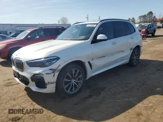 2019 BMW X5 xDrive50i с VIN 5UXJU2C59KLN65147, выставлен на аукционе Copart как лот 53146065 с пробегом 53 489 миль миль и Списание • Salvage title. История ставок и продаж доступна на DreamBid. Изображение 1.