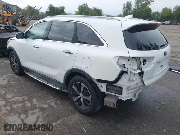 2016 Kia Sorento EX with VIN 5XYPH4A5XGG159444, listed as a IAAI auction lot 42083829 with 114,615 mi miles and . Bid and sale history available at DreamBid. Image 3.
