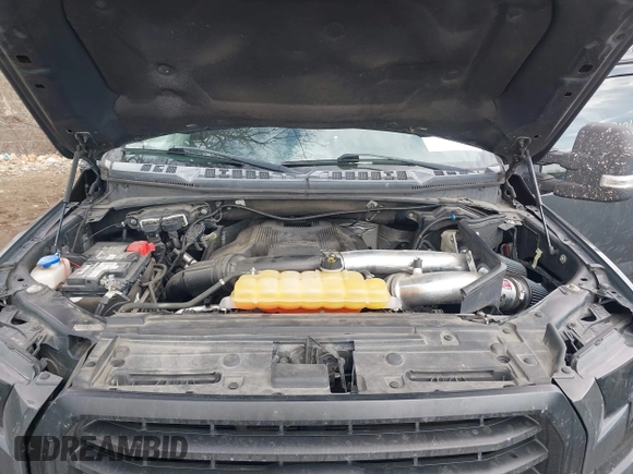 2017 Ford F-150 XL with VIN 1FTFW1EG6HKE03209, listed as a IAAI auction lot 41672184 with 116,078 mi miles. Bid and sale history available at carsss.com. Image 10.
