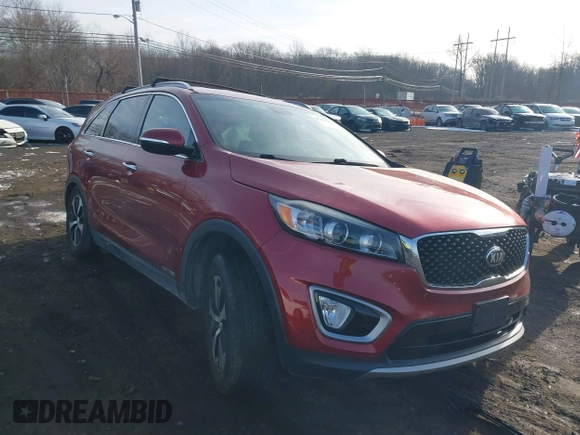 2017 Kia Sorento EX with VIN 5XYPHDA51HG313606, listed as a IAAI auction lot 41203028 with 46 mi miles and . Bid and sale history available at DreamBid. Image 20.