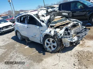 2015 Ford Escape SE with VIN 1FMCU9GX4FUB67273, listed as a IAAI auction lot 41812691 with Not Provided miles and . Bid and sale history available at DreamBid. Image 1.