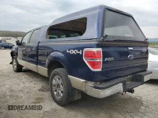 2009 Ford F-150 XL with VIN 1FTPW14V89KB48942, listed as a Copart auction lot 48943945 with 135,989 mi miles and Salvage Title. Bid and sale history available at carsss.com. Image 2.