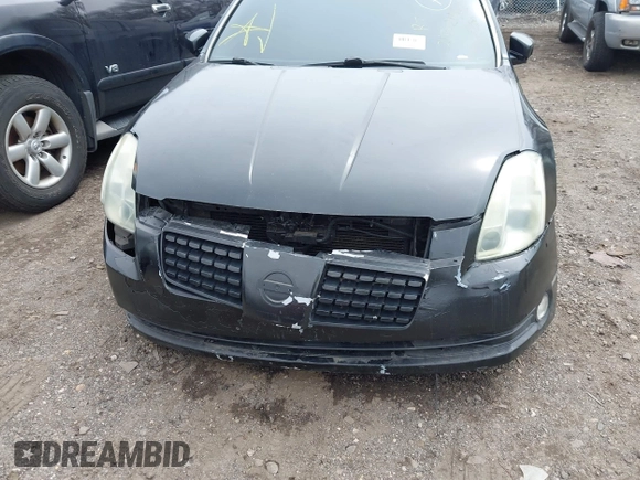 2005 Nissan Maxima SL with VIN 1N4BA41E25C842647, listed as a IAAI auction lot 41851824 with Not provided miles and . Bid and sale history available at DreamBid. Image 6.