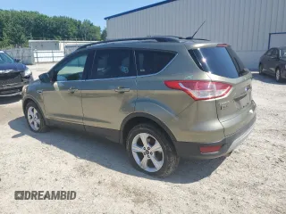 2013 Ford Escape SE with VIN 1FMCU0GX0DUD65115, listed as a Copart auction lot 61616295 with 175,375 mi miles and Salvage title. Bid and sale history available at DreamBid. Image 2.