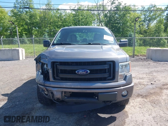 2013 Ford F-150 XL with VIN 1FTEX1EM9DFC99848, listed as a IAAI auction lot 42297022 with 175,466 mi miles and . Bid and sale history available at DreamBid. Image 12.