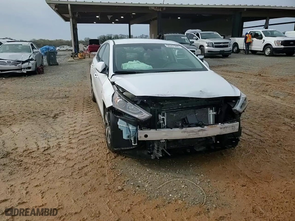 2019 Hyundai Ioniq Hybrid SEL with VIN KMHC75LC8KU106750, listed as a Copart auction lot 50357955 with 80,724 mi miles and Salvage Title. Bid and sale history available at carsss.com. Image 14.