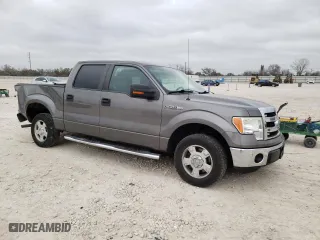 2013 Ford F-150 XL with VIN 1FTEW1CM5DFC29074, listed as a Copart auction lot 48265805 with 171,912 mi miles and Salvage Title. Bid and sale history available at carsss.com. Image 4.