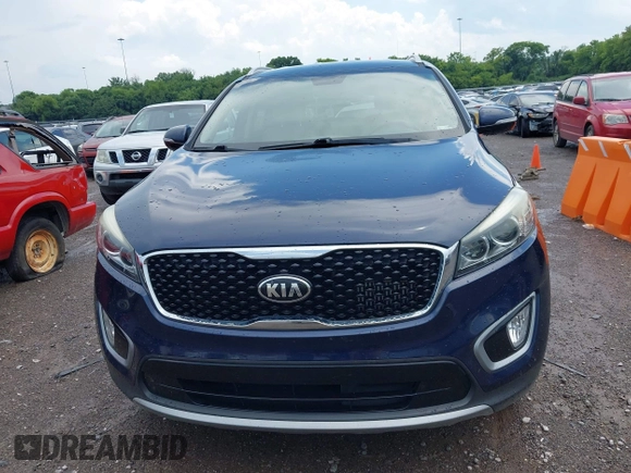 2017 Kia Sorento EX with VIN 5XYPH4A1XHG276732, listed as a IAAI auction lot 42811752 with 99,093 mi miles and . Bid and sale history available at DreamBid. Image 12.