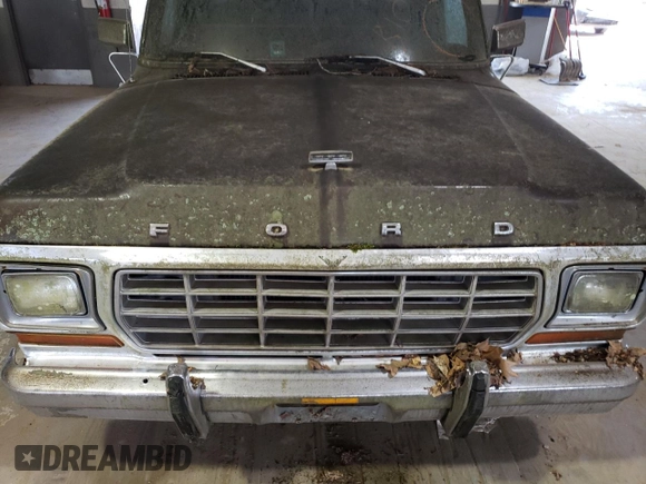 1978 Ford F-150 z VIN F15HNCG8502, wystawiony jako Copart lot #57248964 z przebiegiem 201 337 mil mil oraz Czysty tytuł • Clean title. Historia ofert i sprzedaży dostępna na DreamBid. Obrazek 11.