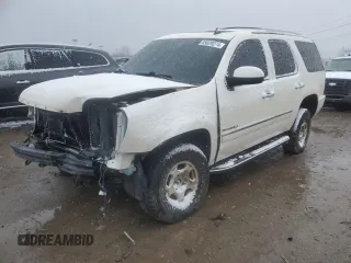 2010 GMC Yukon Denali with VIN 1GKUKEEF6AR186053, listed as a Copart auction lot 85029274 with 233,522 mi miles and Salvage Title. Bid and sale history available at carsss.com. Image 1.