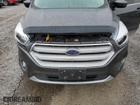 2019 Ford Escape SE with VIN 1FMCU9GD9KUA21466, listed as a Copart auction lot 81195894 with 29,894 mi miles and Salvage Title. Bid and sale history available at carsss.com. Image 12.