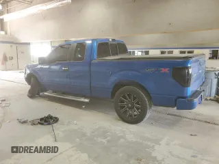2010 Ford F-150 XL with VIN 1FTEX1CW1AFD49058, listed as a Copart auction lot 61545945 with 177,041 mi miles and Clean title. Bid and sale history available at DreamBid. Image 2.